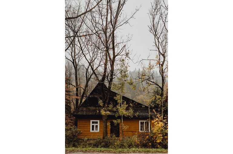 wooden-house-old-house-cabin-shed